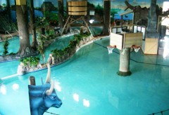 An aerial view of the indoor waterpark with basketball hoops.